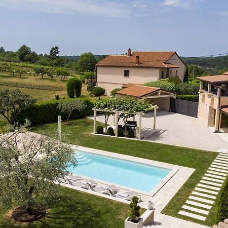 Villa Viscum In Central Istria For 8 Persons With Large Garden - Pet Friendly Pazin Kültér fotó