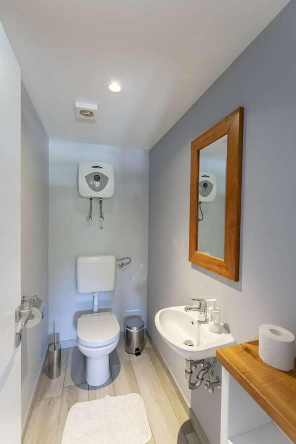 Villa Viscum In Central Istria For 8 Persons With Large Garden - Pet Friendly Pazin Kültér fotó